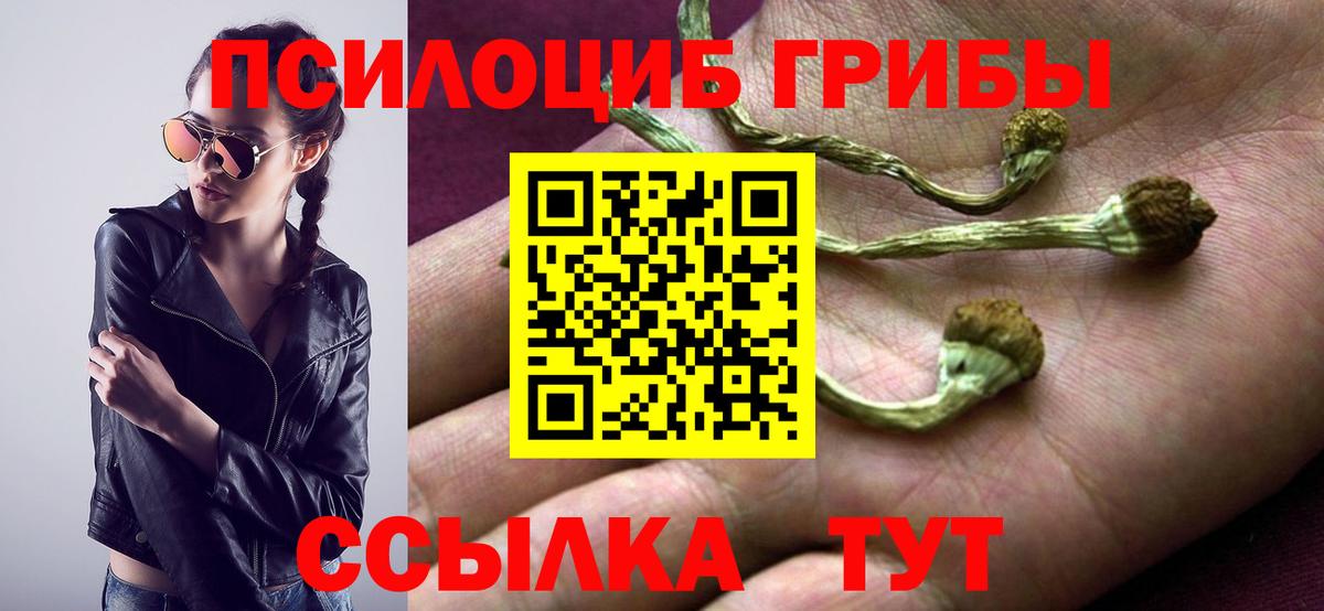 Псилоцибиновые грибы прущие грибы Нижневартовск